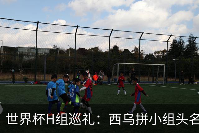 世界杯H组巡礼：西乌拼小组头名 沙特成X因素