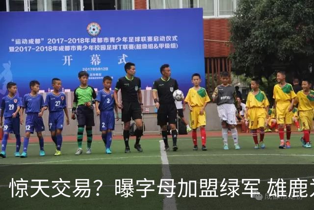 惊天交易？曝字母加盟绿军 雄鹿为布朗寻找第三方