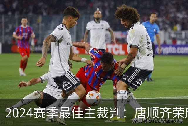 2024赛季最佳主裁判：唐顺齐荣膺金哨 马宁铜哨